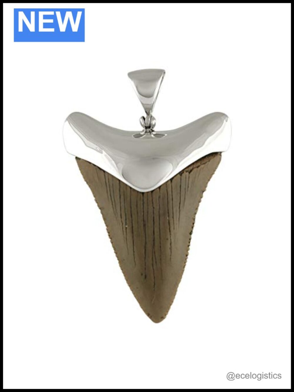 Sterling Silver Fossil Shark Tooth Pendant Necklace